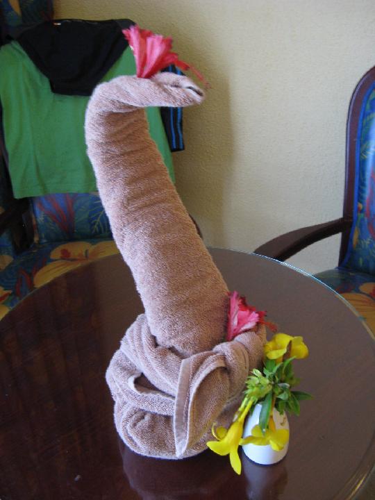 2011_08_02 dom-rep  165.jpg